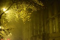 Moonlit Street